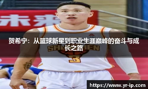 贺希宁：从篮球新星到职业生涯巅峰的奋斗与成长之路